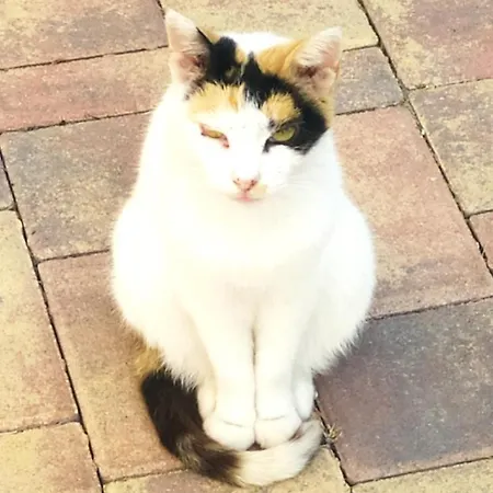 Bed & Breakfast Terrazza Sul Mare