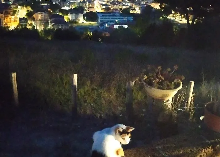 Terrazza Sul Mare 3*